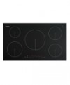 Fisher & Paykel CI905DTB1 Induction